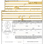 Ds 82 Form Printable 2020 Fill Online Printable