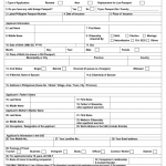 E Passport Application Form Fill Online Printable