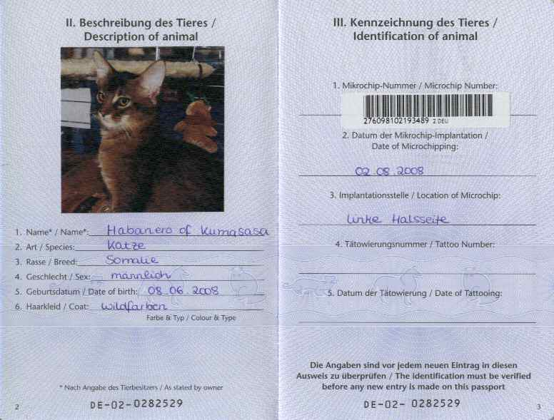 EU Pet Passport Of Somali Cat Habanero Of Kumasasa 