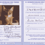 EU Pet Passport Of Somali Katze Int Ch Crazy Of Candymoor