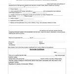 Form To Be Filled To Surrender Indian Passport Fill Out