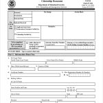 FREE 9 Sample Citizenship Application Forms In PDF Excel