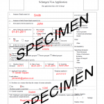 How To Fill German National Visa Application Form