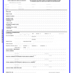 How To Fill Out A Passport Form 2020 2021 Fill And Sign