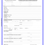 how to fill ds 260 form how to fill ds 260 form