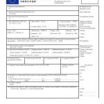 Italian Embassy Visa Application Form