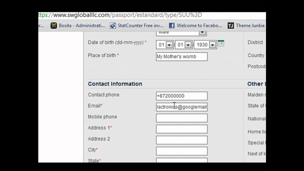 Nigerian Embassy Passport Application Form YouTube