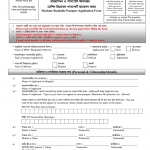 Passport Application Form Fill Online Printable