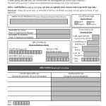 Passport Renewal Dip Form 2 PrintableForm