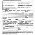 Passport Renewal Online Application Form E Passport