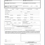 Passport Renewal Online Application Form E Passport