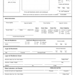 Cuban Passport Application Pdf 2020 Fill And Sign