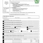 Download Passport Application Form New Zealand