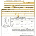 Ds 11 Fillable Form Ds 11 Form 2018 Fillable Printable