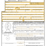 DS 11 Passport Application 2016 2017