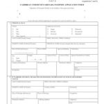 Guyana Passport Renewal Forms Printable You Can Check