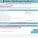 How To Fill NRI Online Application For Indian Passport