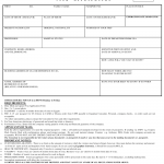 New York City Egyptian Visa Application Form Consulate