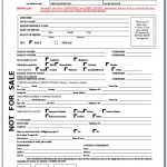 Nigerian E Passport Renewal Application Form Form