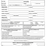 Passport Application Form Pdf Download