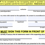 Passport Parental Consent Form DS 3053 EForms