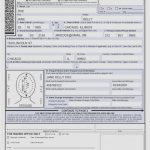 Passport Renewal Form Ds 11 Universal Network