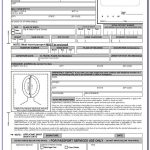 Renewal Of Indian Passport Online Application Form