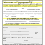 2016 2020 Form DS 3053 Fill Online Printable Fillable Blank PdfFiller