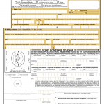 Application For A United States Passport Free Download