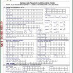 Application Form To Renew Jamaican Passport Form Resume Template