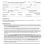 Belize Passport Application For Minors