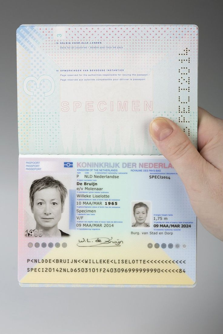 Buy Netherlands Passport Online World Fake Docs Passport Online 