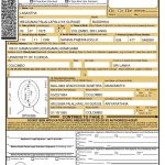 Canadian Passport Application Form Instructions For Children