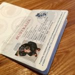 Do I Need A Pet Passport To Take My Dog To France