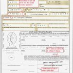 Ds 10 Ds 11 Form PrintableForm Printable Form 2021