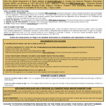 Ds 11 Form Occupation Printable Form 2022