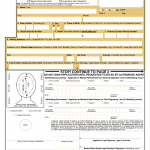Ds 11 Form Online Fill Printable Form 2022