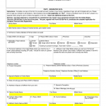 Ds 260 Form For Immigration Jawerpoint