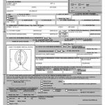 Ds 82 Passport Form The 25 Best Passport Renewal Application Form Ideas