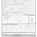 Ethiopian Embassy Yellow Card Form Fill Out And Sign Printable PDF