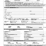 Ethiopian Passport Application Form Pdf PassportApplicationForm