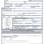 Fillable Ds 82 Form Printable Form 2022