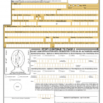 Form Ds 11 Application For A U s Passport Usps 2022