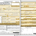 How To Fill Out A DS 11 Passport Application Printable Form 2022