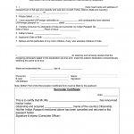 Indian Passport Surrender Form Fill Out And Sign Printable PDF