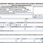 Learn How To Fill The Form DS 82 U S Passport Renewal Printable Form 2021