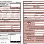 New Or Renewal Passport Online Apply For Passport Name Change Form