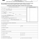 Online Indian Visa Form Fill Out And Sign Printable PDF Template