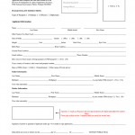 Passport Application Fill Out And Sign Printable PDF Template SignNow
