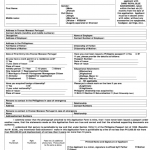 Passport Renewal Application Form Riyadh Printable Form 2022